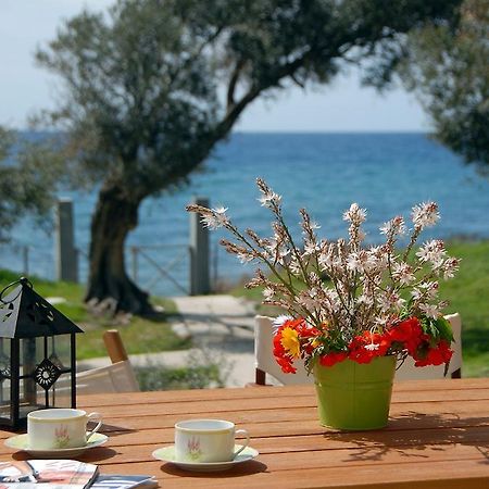 Melinda Holiday House Plomari Rom bilde