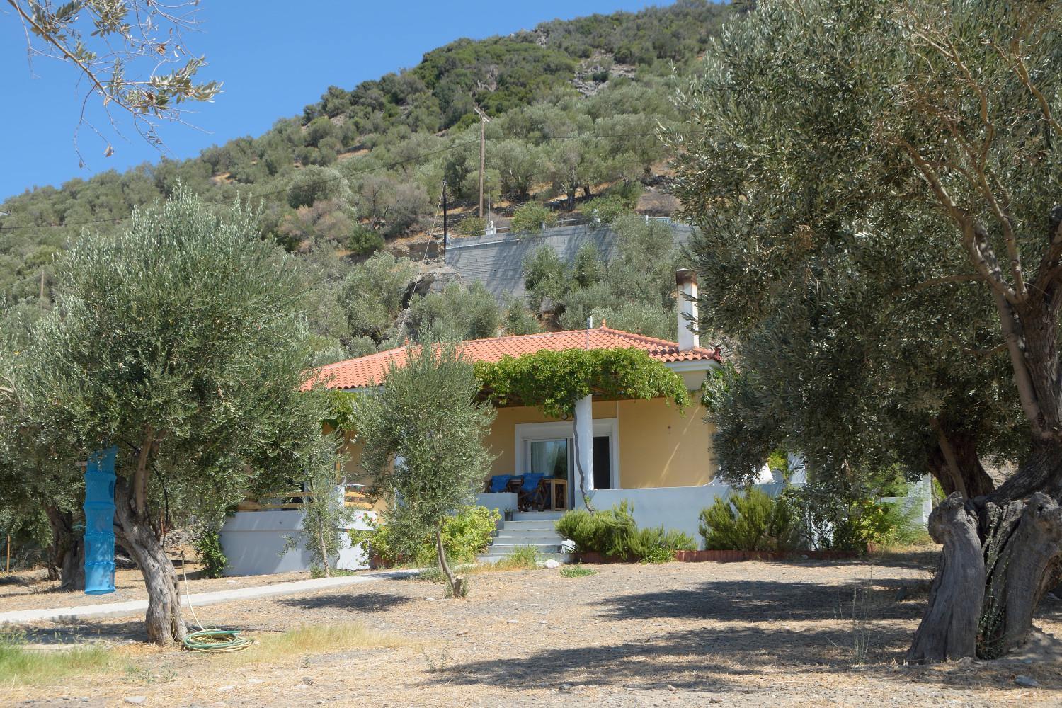 Melinda Holiday House Plomari Eksteriør bilde